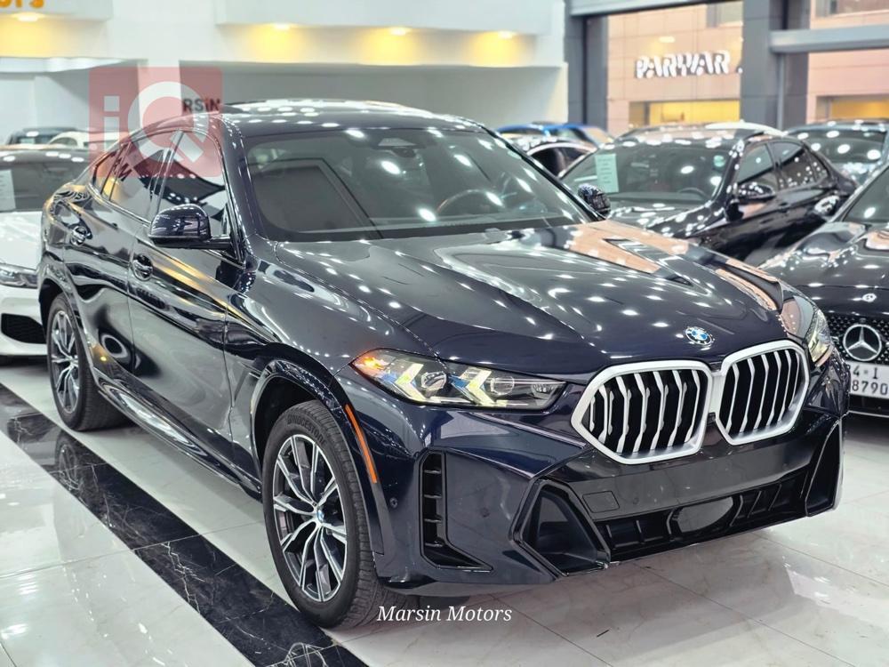 BMW X6